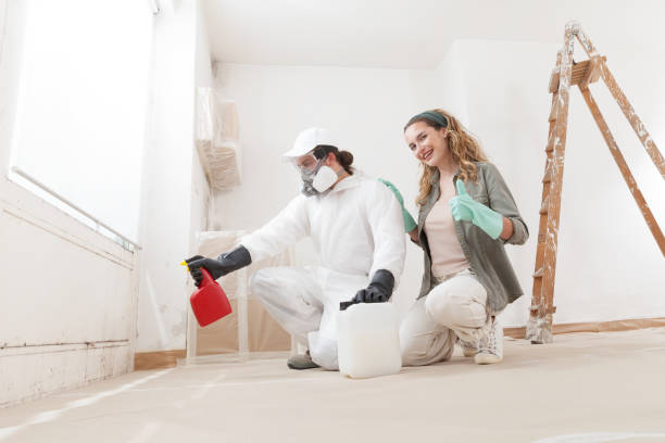 Best Mold Odor Removal Services  in Ross, CA